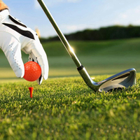 //inrorwxhrniilq5q-static.micyjz.com/cloud/liBppKpmliSRojonpijiip/colored-golf-ball.jpg