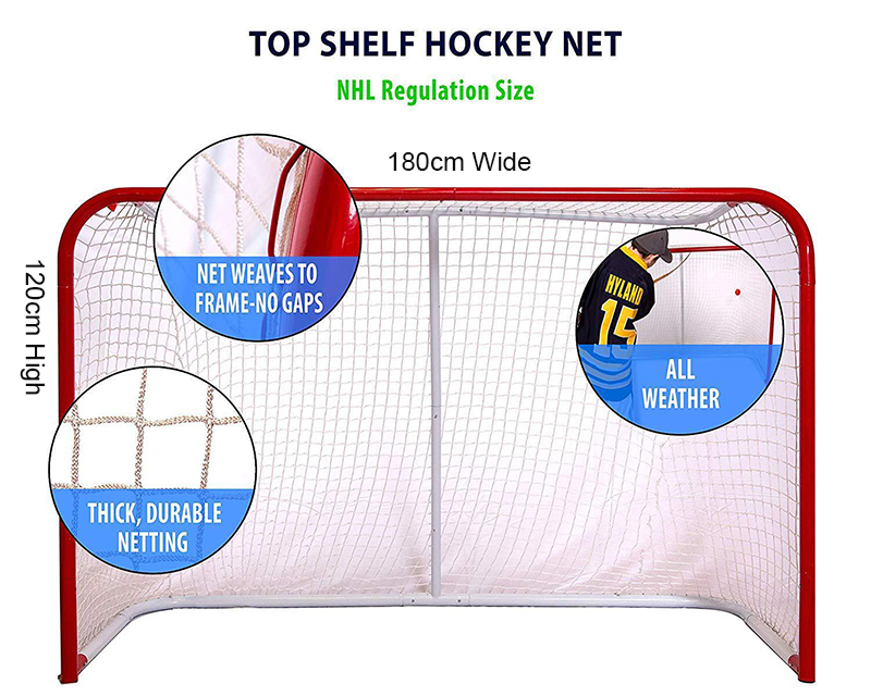 Hockey Goal (9)