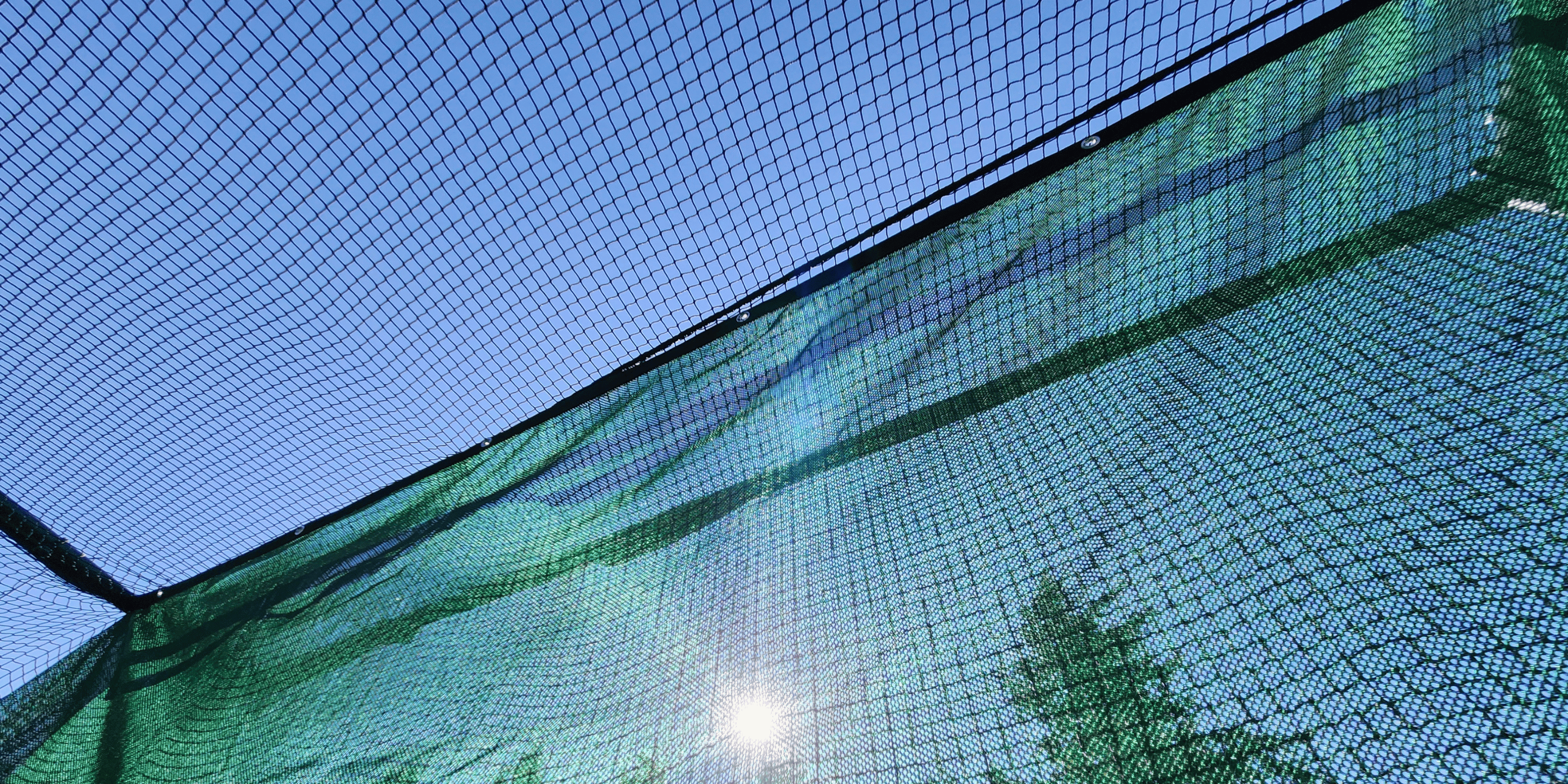 thick Fabric and net